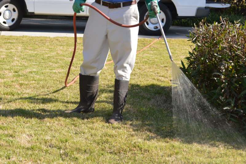 Disinfection and Sanitization Services